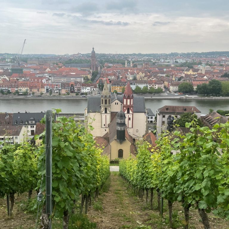 Weinberg im Vordergrund, dahinter Burkardskirche, Main und Altstadt.